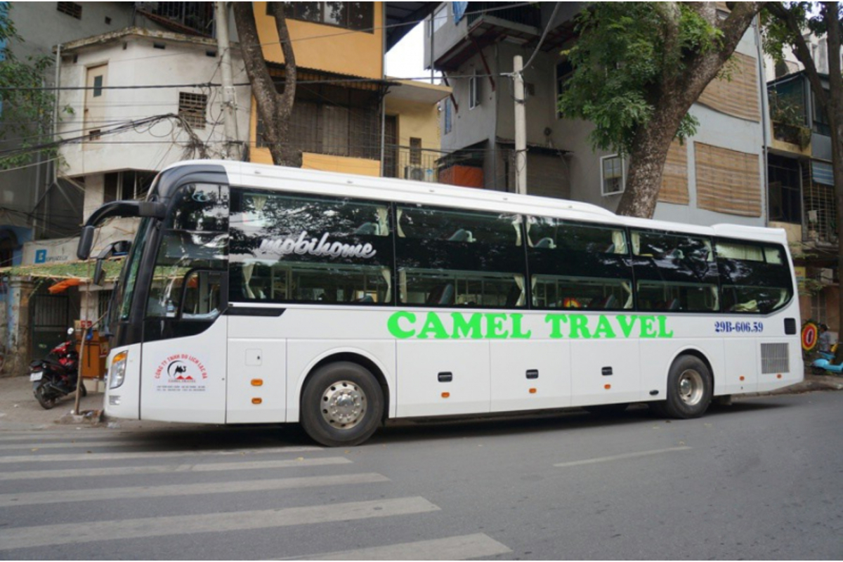 Hãng xe Đà Nẵng đi Nha Trang Camel Travel luôn phục vụ khách hàng một cách hết mình